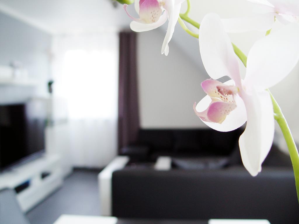 La Domus Premium Osnabrueck Lotte Apartment Bagian luar foto