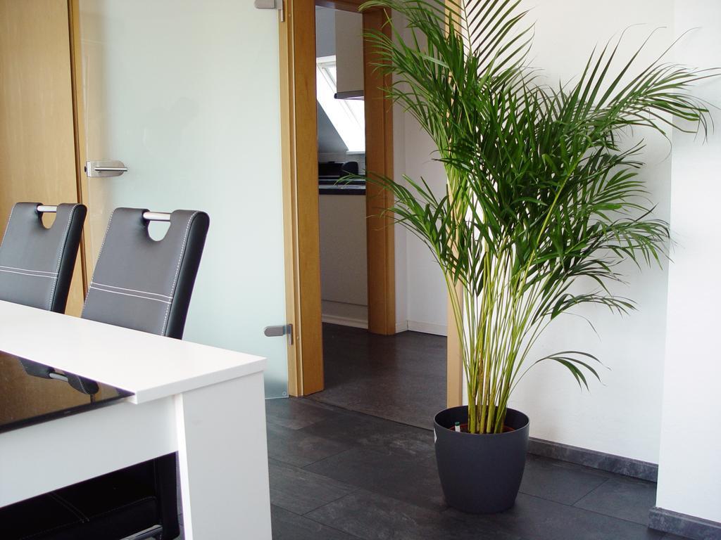 La Domus Premium Osnabrueck Lotte Apartment Bagian luar foto